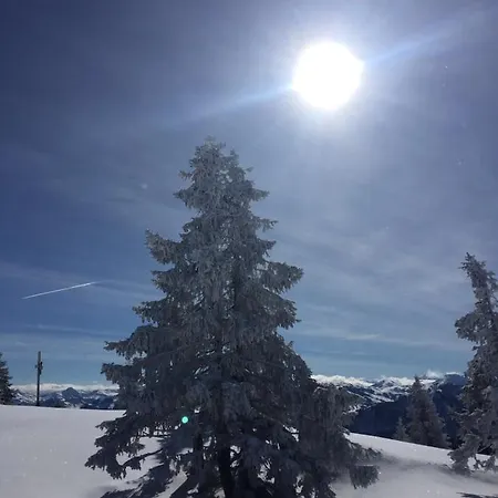 Alpen I Lägenhet Ellmau