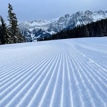 Alpen I Lägenhet
