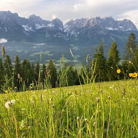 Alpen I