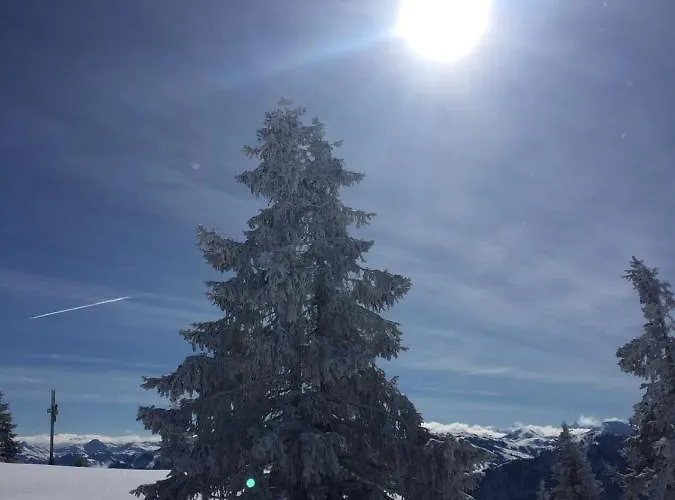 Alpen I 公寓 埃尔毛